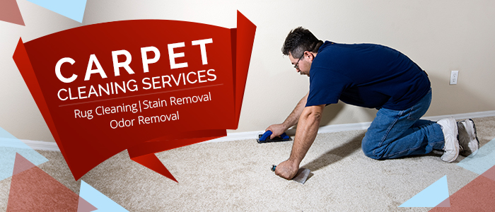 Carpet Cleaning Services in Santa Clara